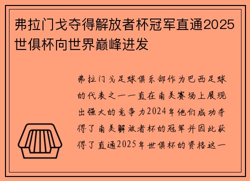 弗拉门戈夺得解放者杯冠军直通2025世俱杯向世界巅峰进发
